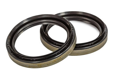 Oil Seals: Everything You Need to Know