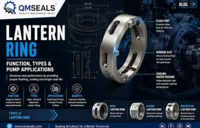Lantern Ring – Function, Types &amp; Pump Applications | QMSEALS product