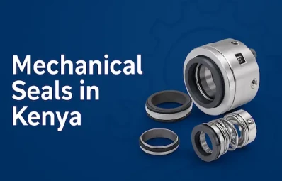 Mechanical Seals in Kenya