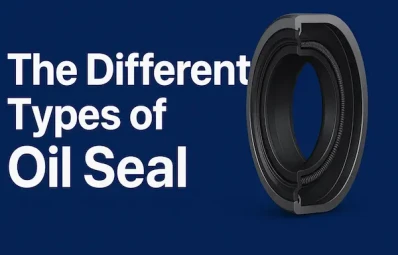 Oil Seals: Everything You Need to Know